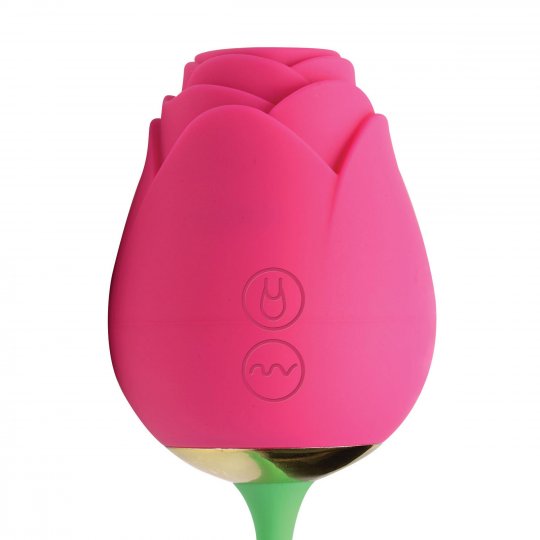 Inmi Bloomgasm Sucking Rose & Vibrating Rosette